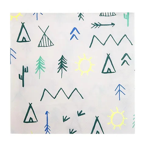 Let’s Explore Napkings