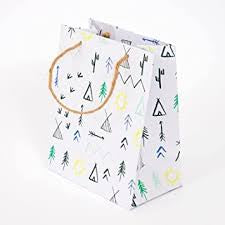 Let’s Explore Party Favor Bags
