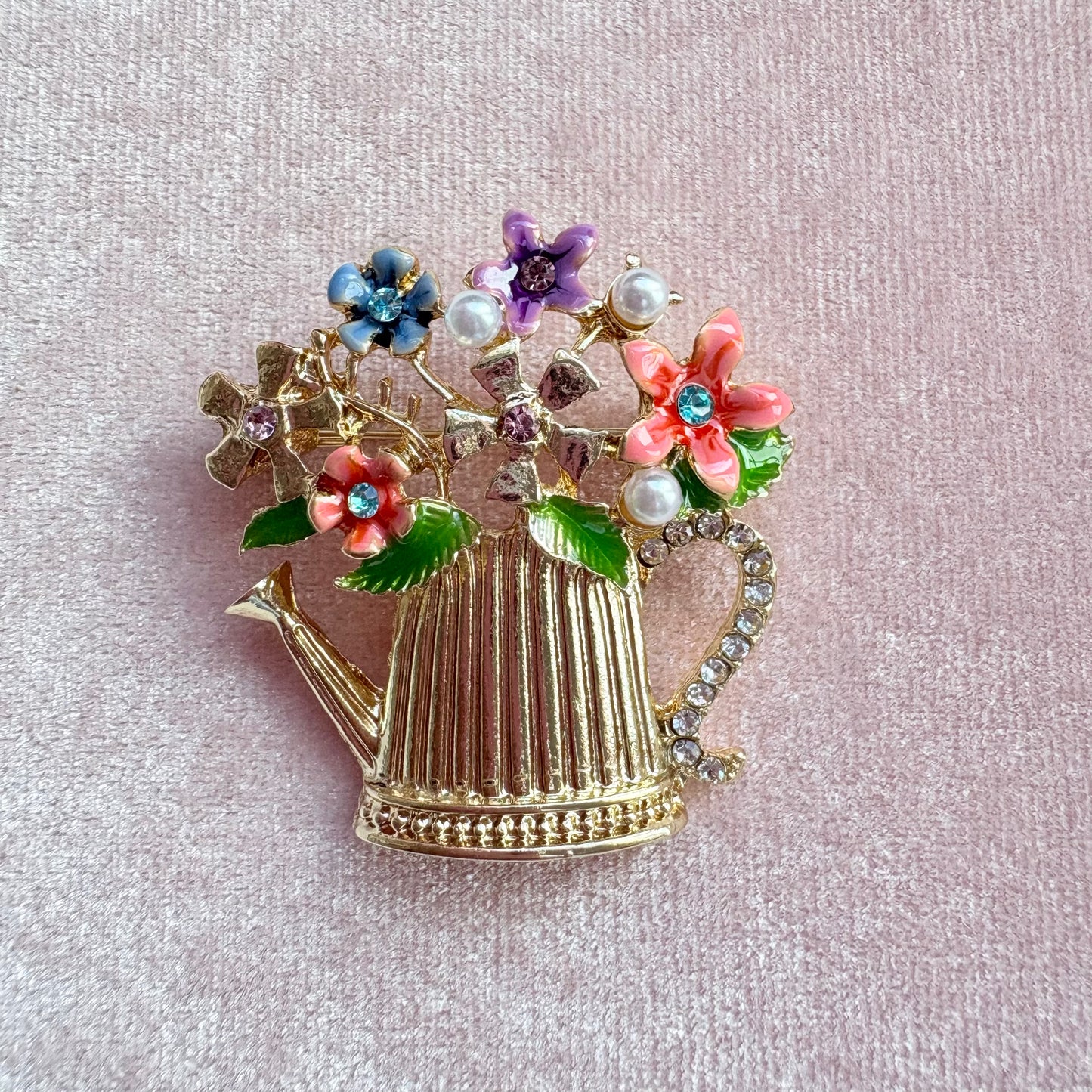 Broche Regadera