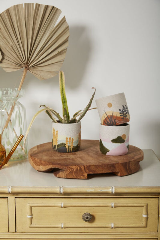 Mojave Collection