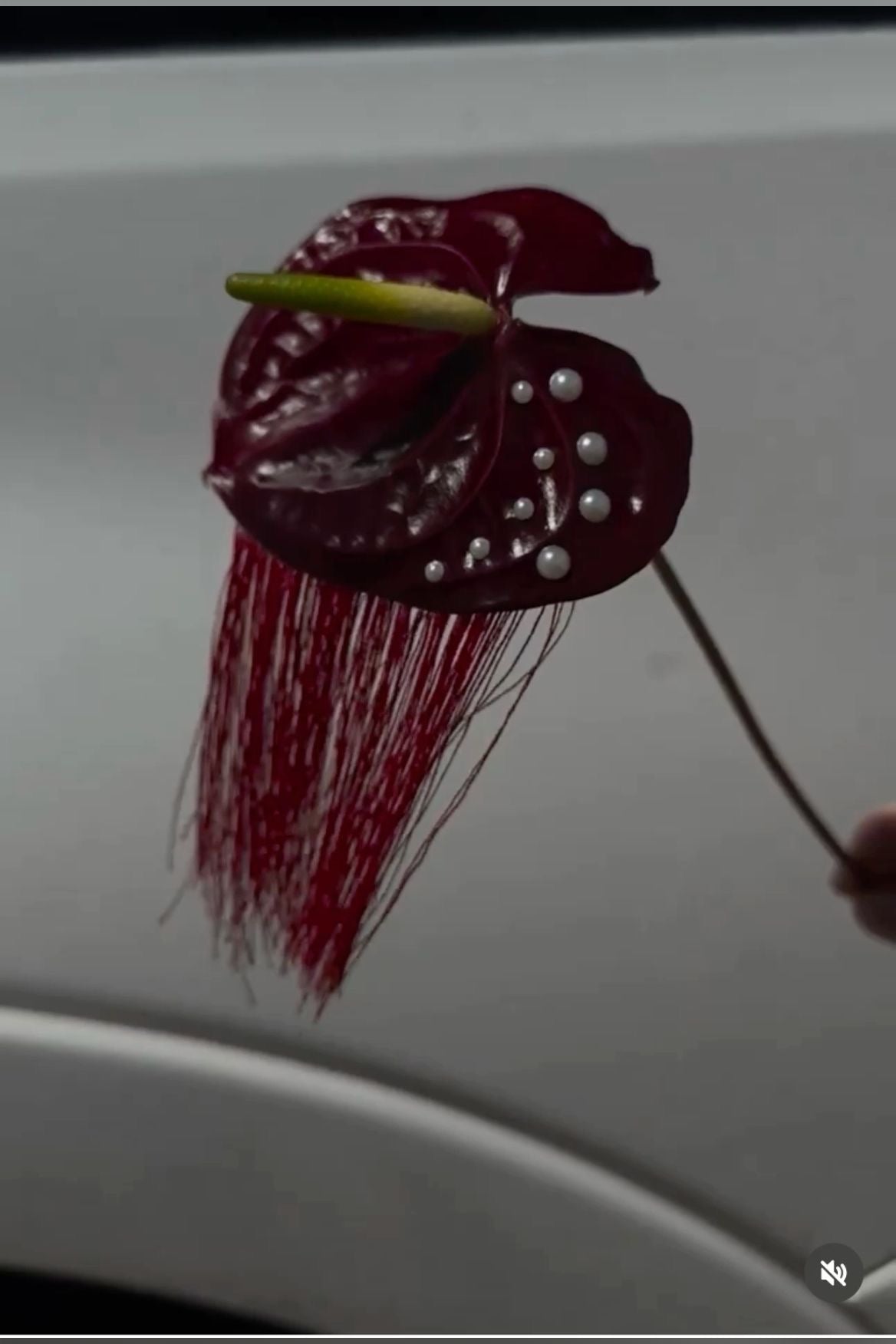 The Couture Anthurium Experience
