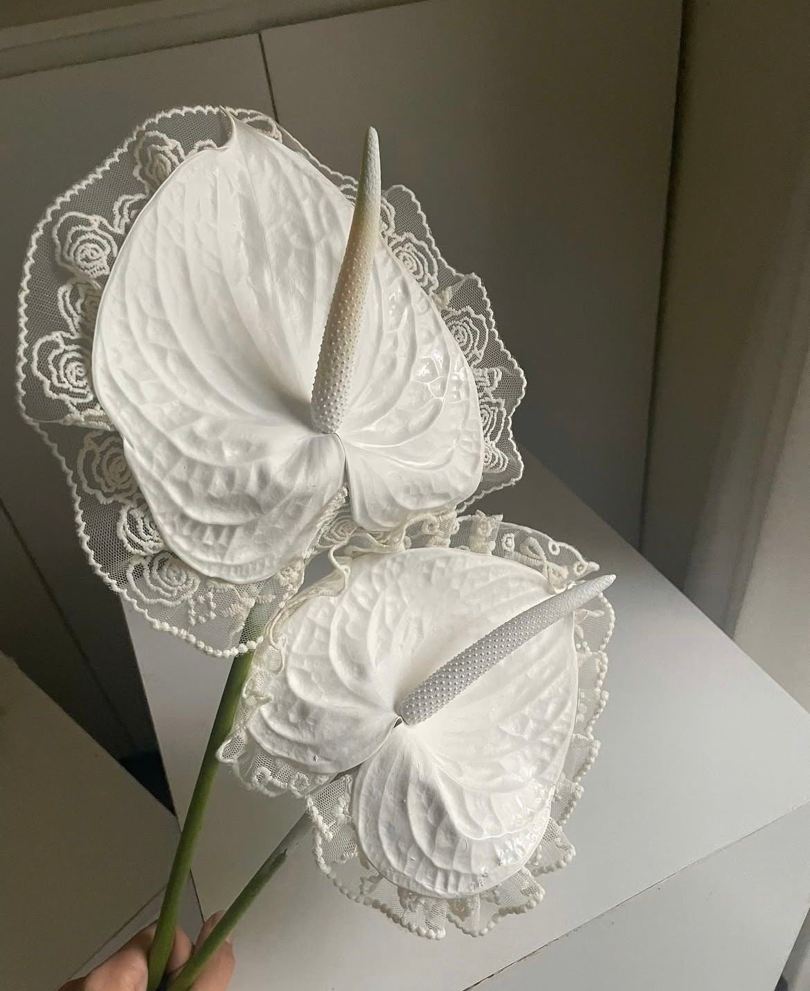 The Couture Anthurium Experience