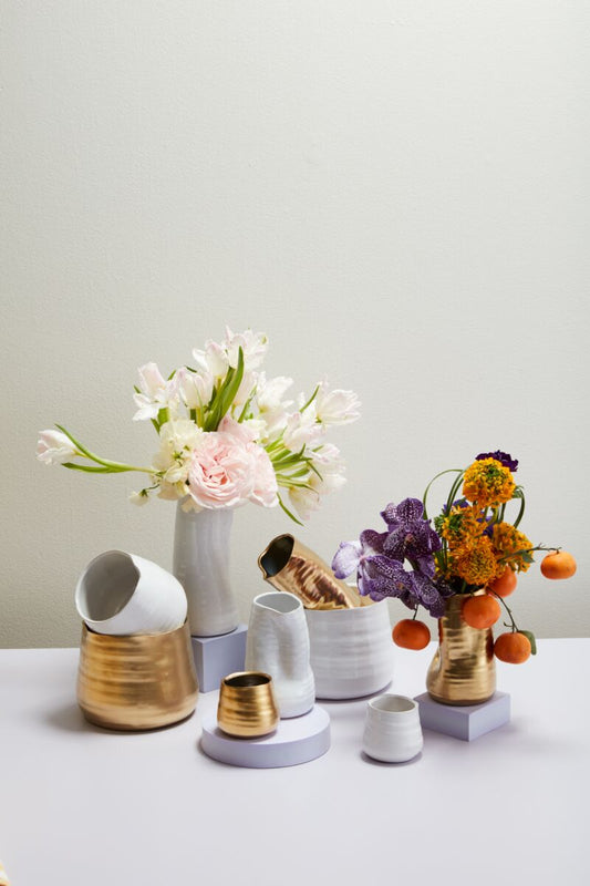 Tegan Collection
