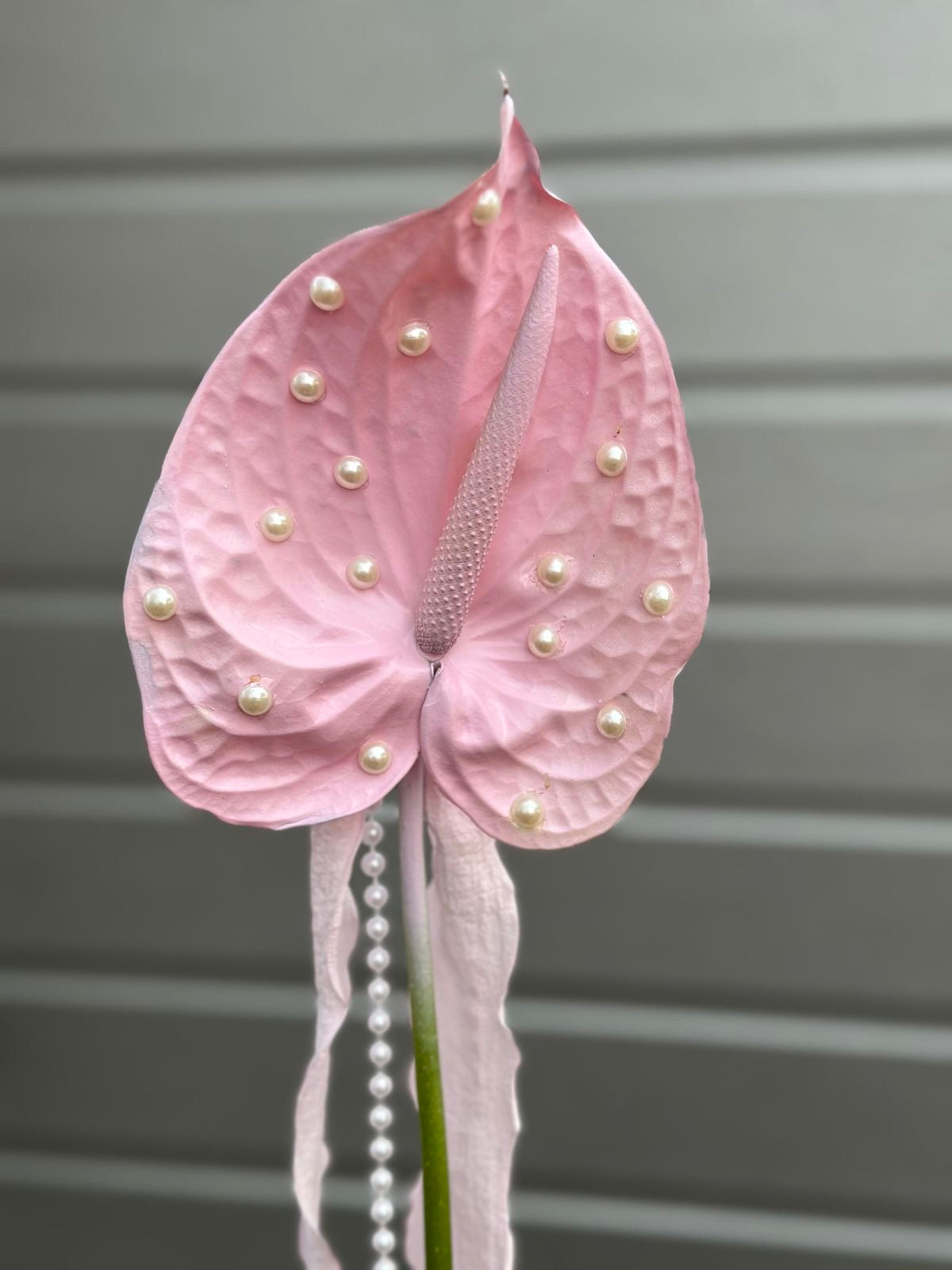 The Couture Anthurium Experience